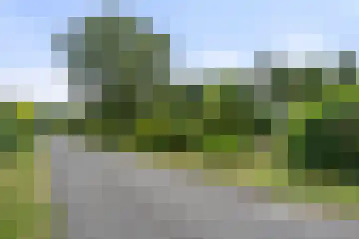 Zassenkamp 2 Bennekom thumbnail 16