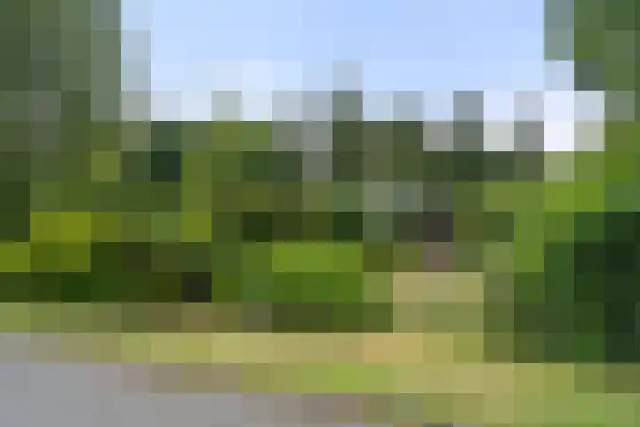 Zassenkamp 2 Bennekom thumbnail 17
