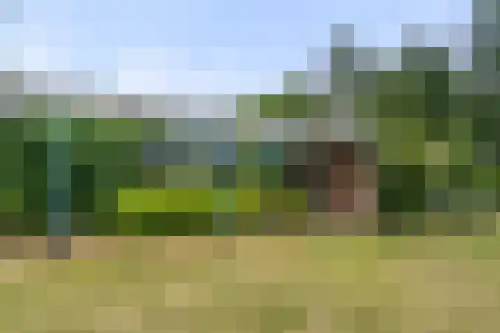 Zassenkamp 2 Bennekom thumbnail 21