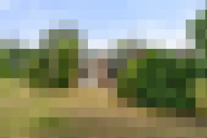 Zassenkamp 2 Bennekom thumbnail 22