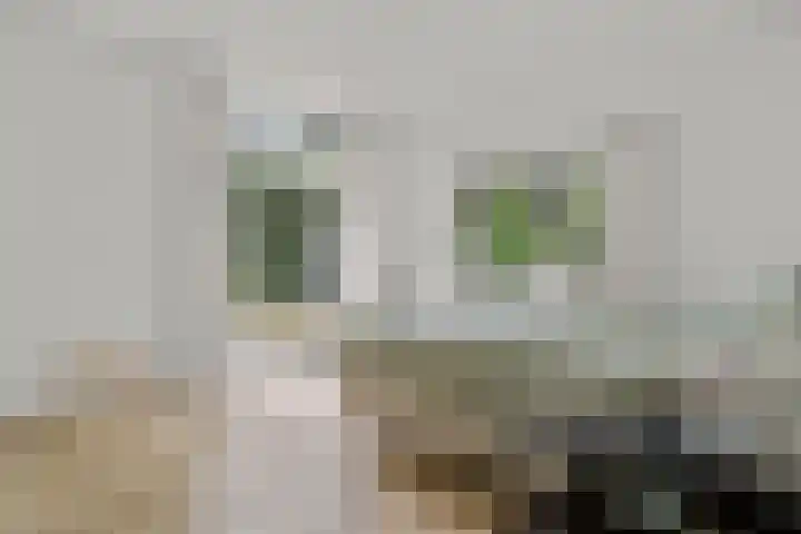 Zassenkamp 2 Bennekom thumbnail 42