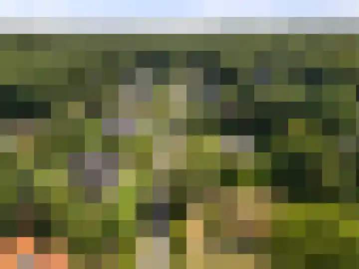 Zassenkamp 2 Bennekom thumbnail 9