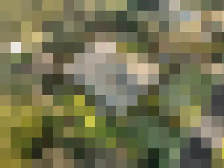 Zassenkamp 4 Bennekom thumbnail 10