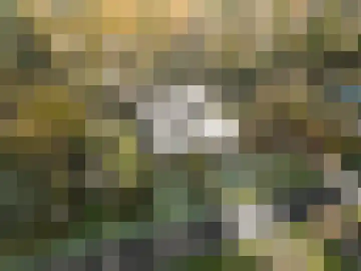 Zassenkamp 4 Bennekom thumbnail 11