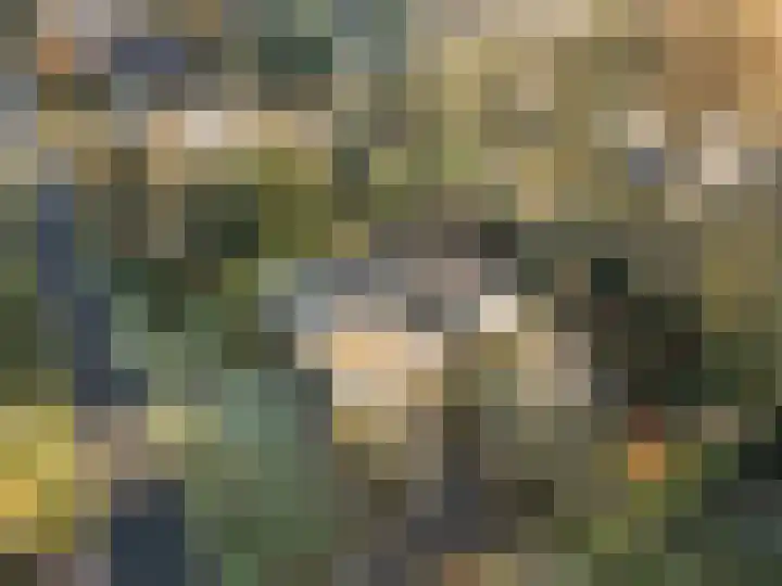 Zassenkamp 4 Bennekom thumbnail 12