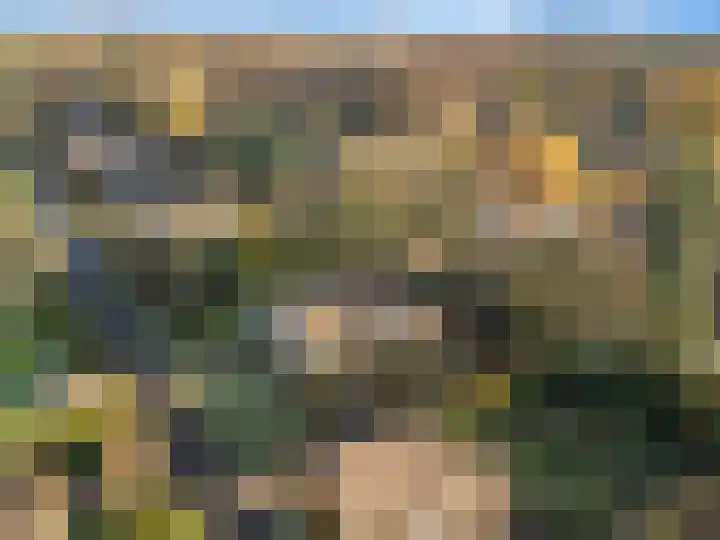 Zassenkamp 4 Bennekom thumbnail 13