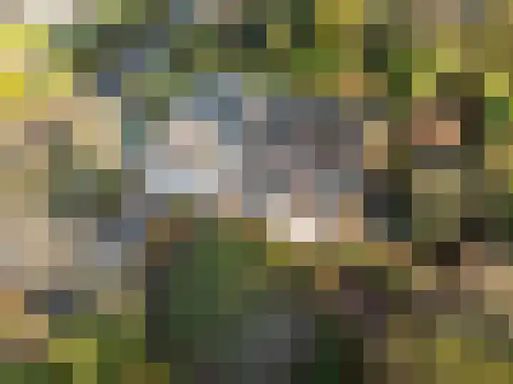 Zassenkamp 4 Bennekom thumbnail 14
