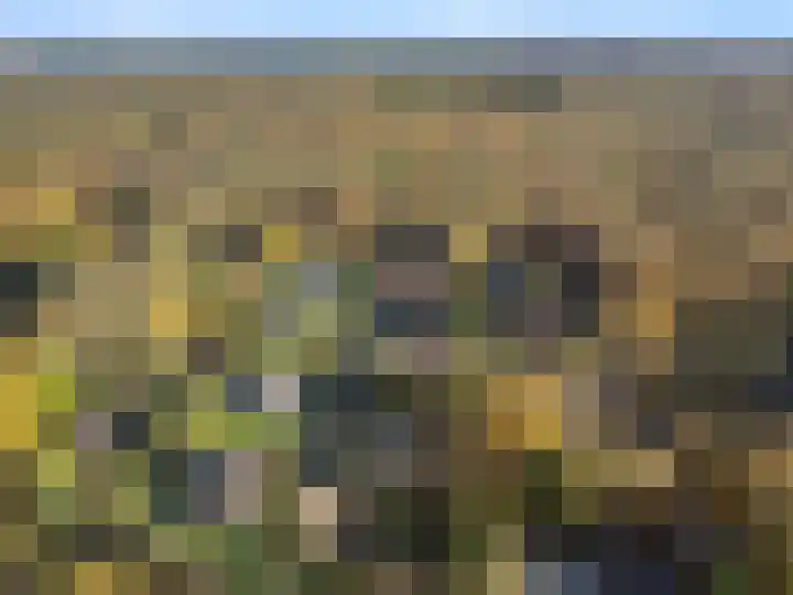 Zassenkamp 4 Bennekom thumbnail 17