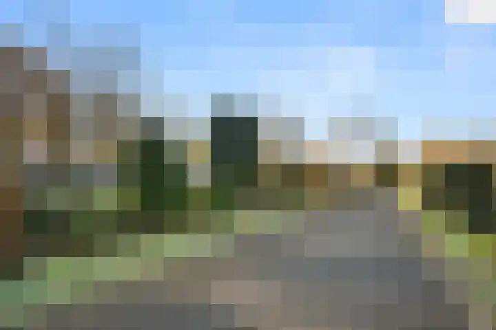 Zassenkamp 4 Bennekom thumbnail 19