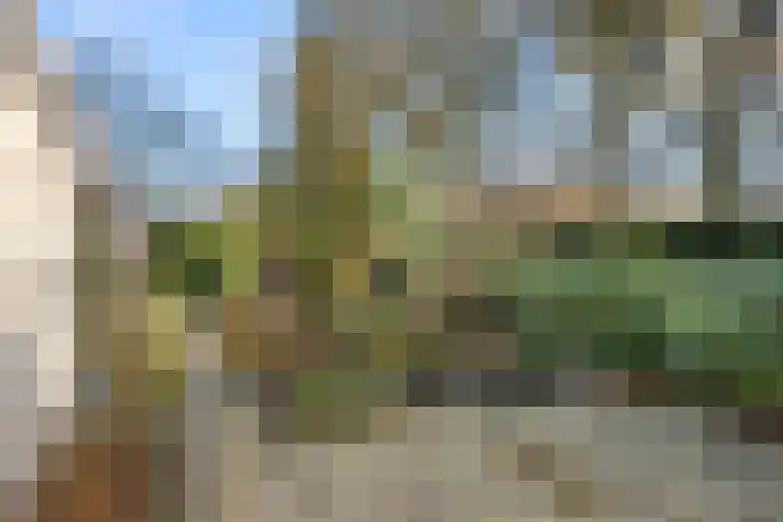 Zassenkamp 4 Bennekom thumbnail 25