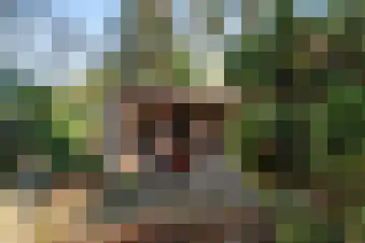 Zassenkamp 4 Bennekom thumbnail 26