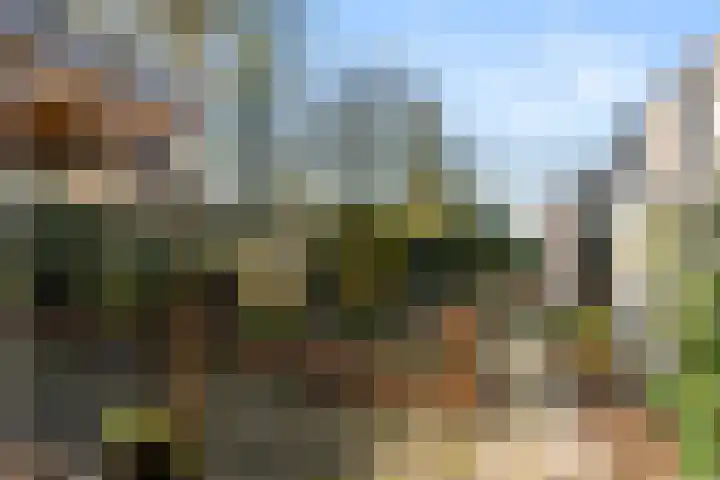 Zassenkamp 4 Bennekom thumbnail 27