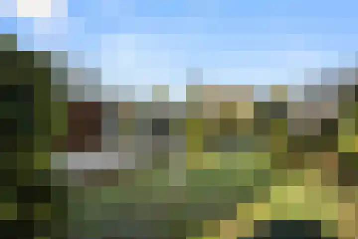 Zassenkamp 4 Bennekom thumbnail 29