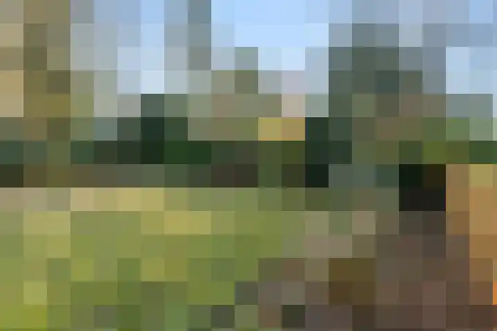 Zassenkamp 4 Bennekom thumbnail 30