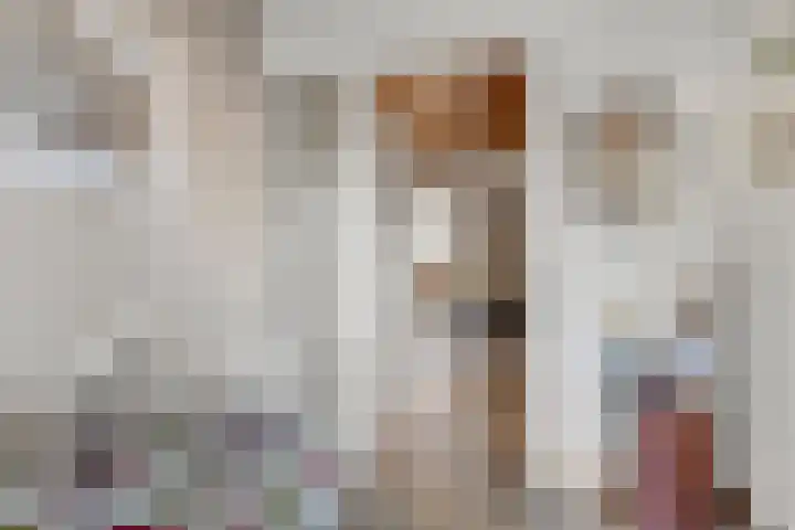 Zassenkamp 4 Bennekom thumbnail 32