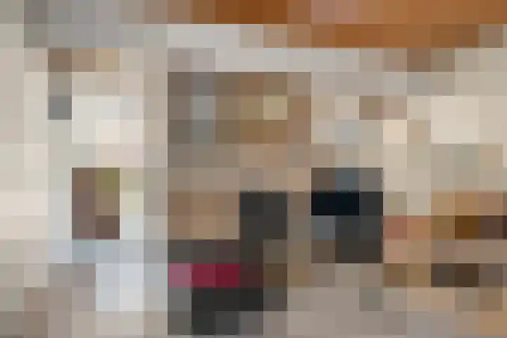 Zassenkamp 4 Bennekom thumbnail 36