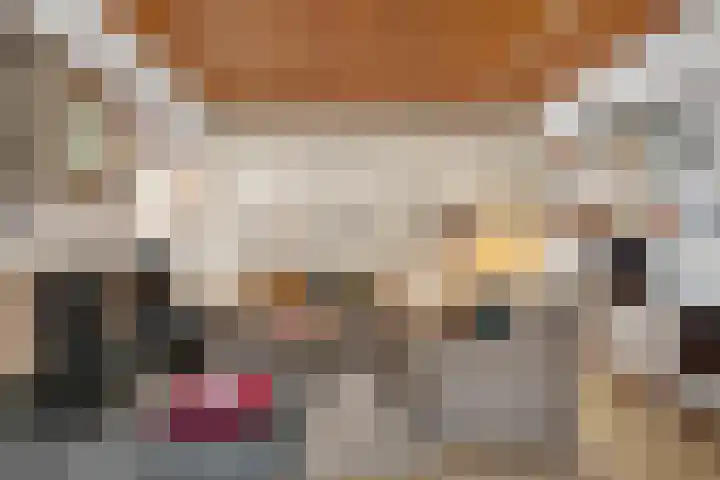 Zassenkamp 4 Bennekom thumbnail 37