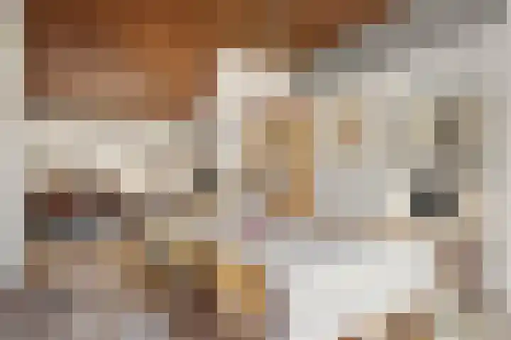 Zassenkamp 4 Bennekom thumbnail 40