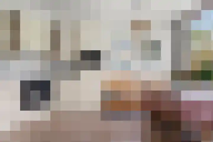 Zassenkamp 4 Bennekom thumbnail 41