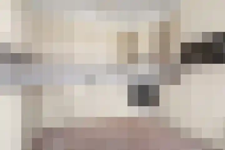 Zassenkamp 4 Bennekom thumbnail 42