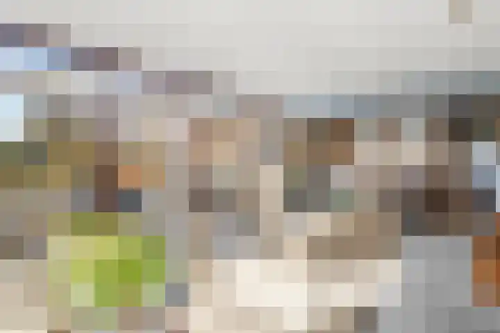 Zassenkamp 4 Bennekom thumbnail 46