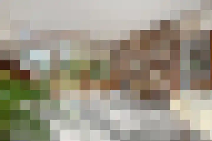Zassenkamp 4 Bennekom thumbnail 47