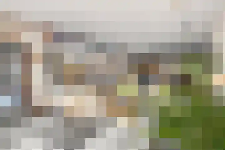 Zassenkamp 4 Bennekom thumbnail 49