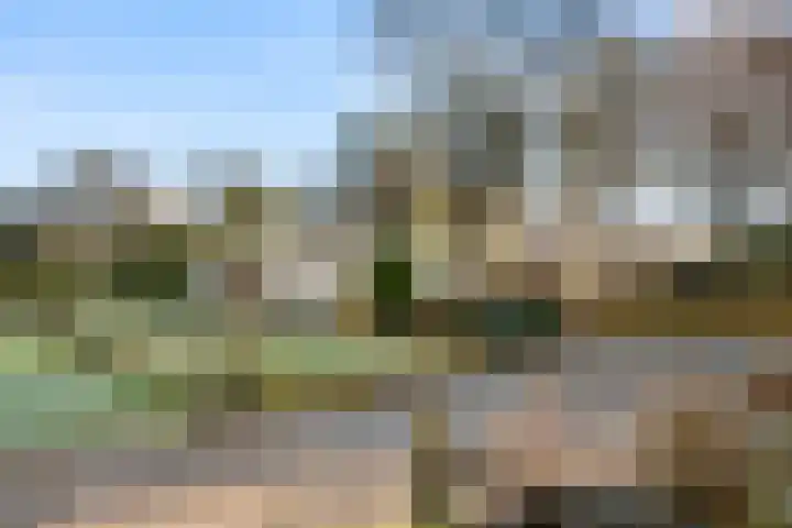 Zassenkamp 4 Bennekom thumbnail 5