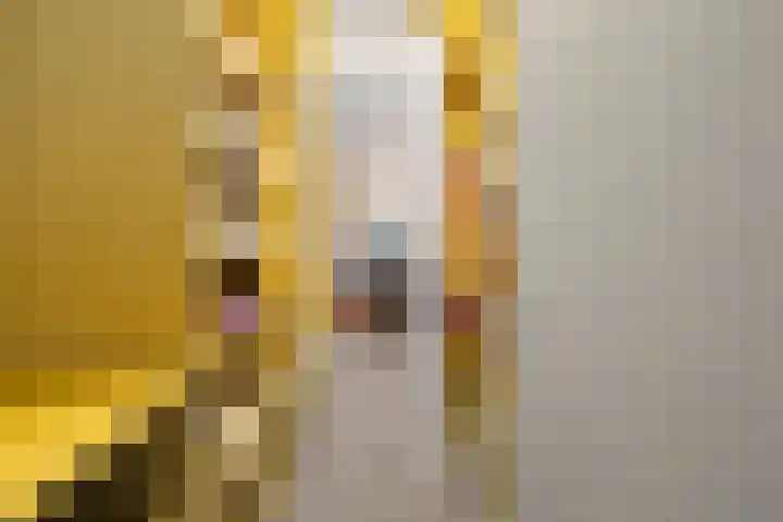 Zassenkamp 4 Bennekom thumbnail 57