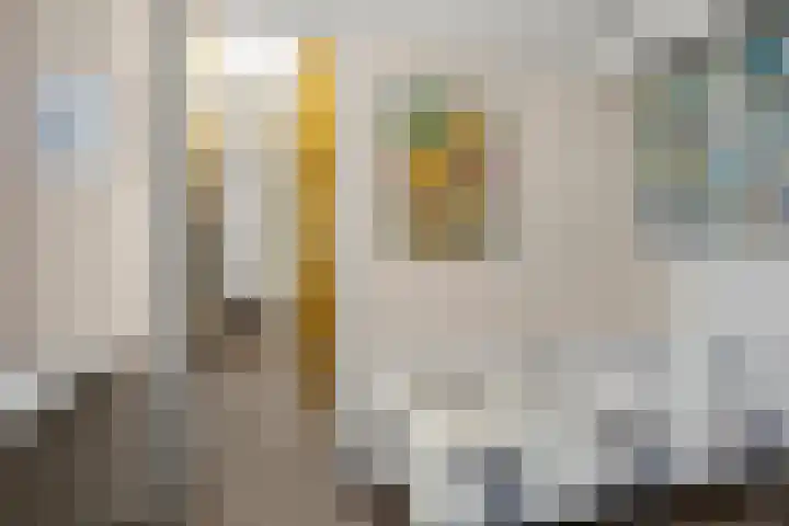 Zassenkamp 4 Bennekom thumbnail 58