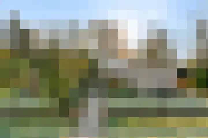 Zassenkamp 4 Bennekom thumbnail 6
