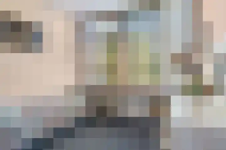 Zassenkamp 4 Bennekom thumbnail 60