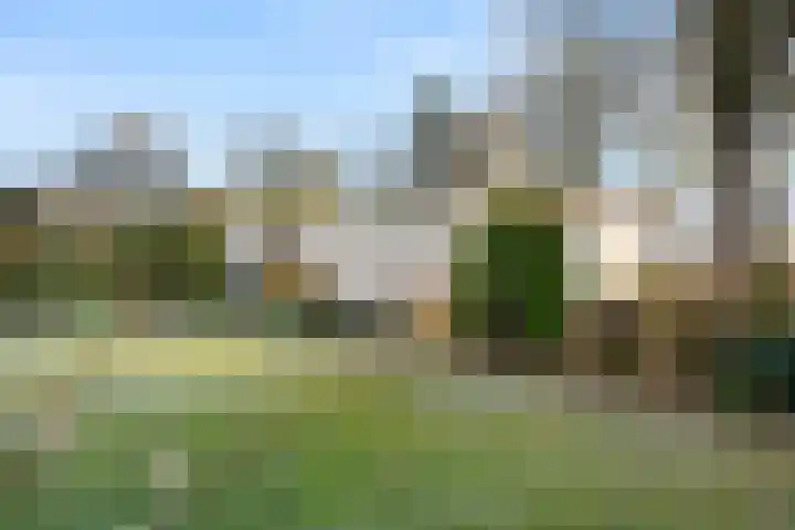 Zassenkamp 4 Bennekom thumbnail 7
