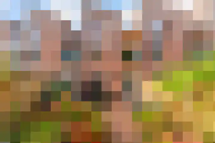 Zaterdagstraat 7 Almere thumbnail 5