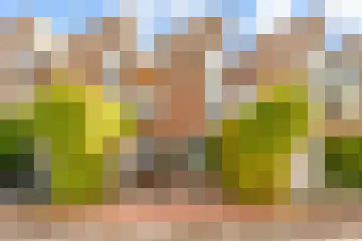 Zaterdagstraat 7 Almere thumbnail 71