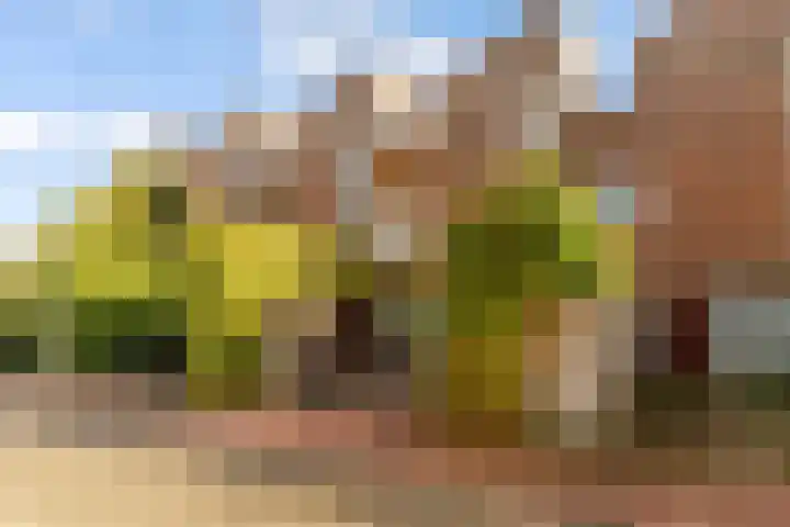 Zaterdagstraat 7 Almere thumbnail 76
