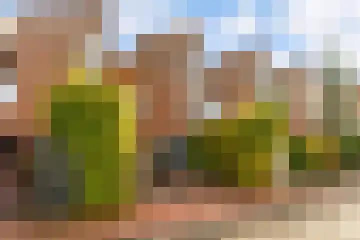 Zaterdagstraat 7 Almere thumbnail 77