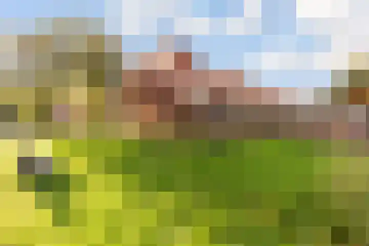 Zaterdagstraat 7 Almere thumbnail 79