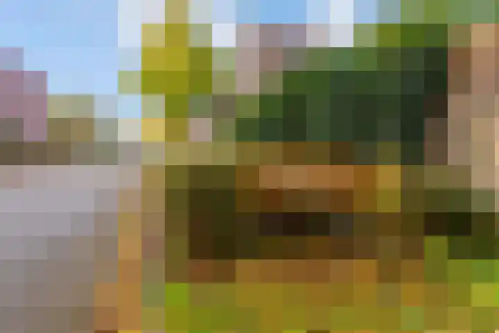 Zaterdagstraat 7 Almere thumbnail 81