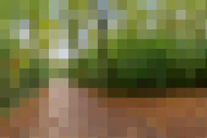 Zaterdagstraat 7 Almere thumbnail 82