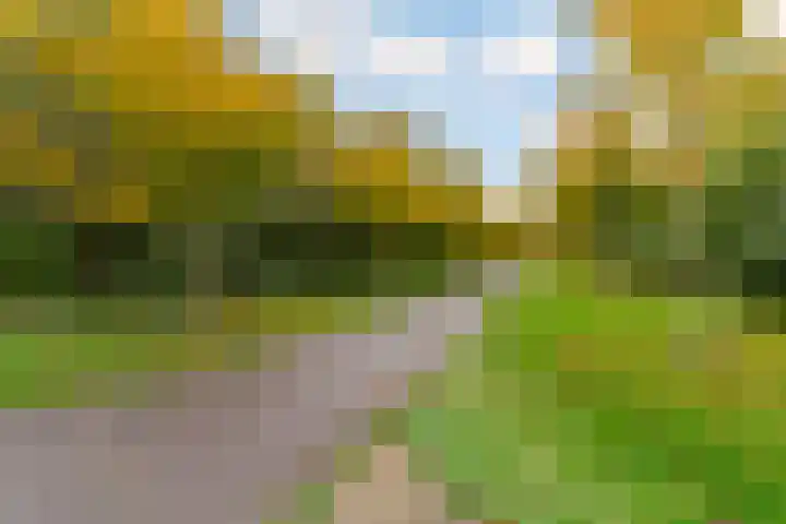 Zaterdagstraat 7 Almere thumbnail 83
