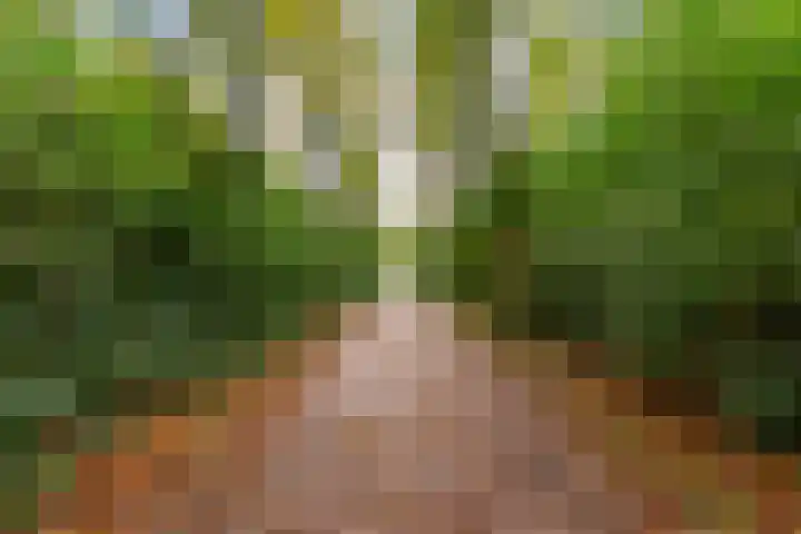 Zaterdagstraat 7 Almere thumbnail 84