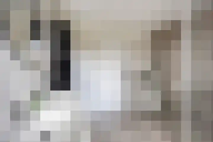 Zavelveldweg 10 Heel thumbnail 23