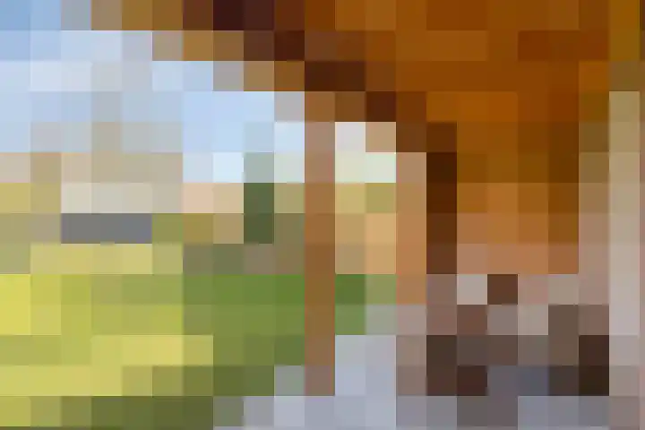 Zavelveldweg 10 Heel thumbnail 33