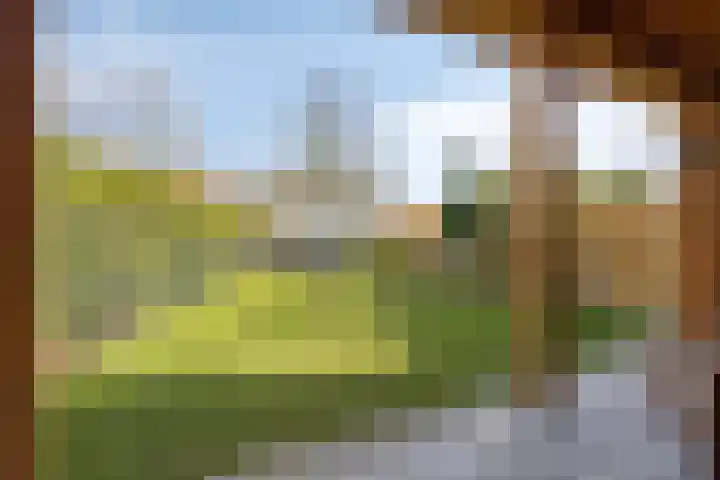 Zavelveldweg 10 Heel thumbnail 34