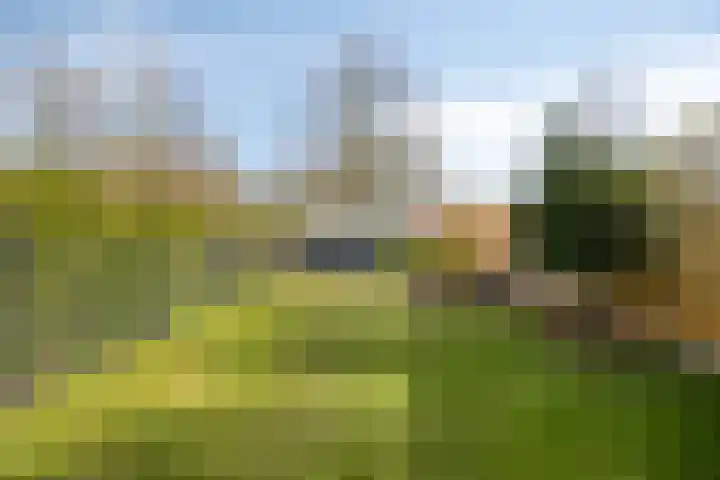 Zavelveldweg 10 Heel thumbnail 35