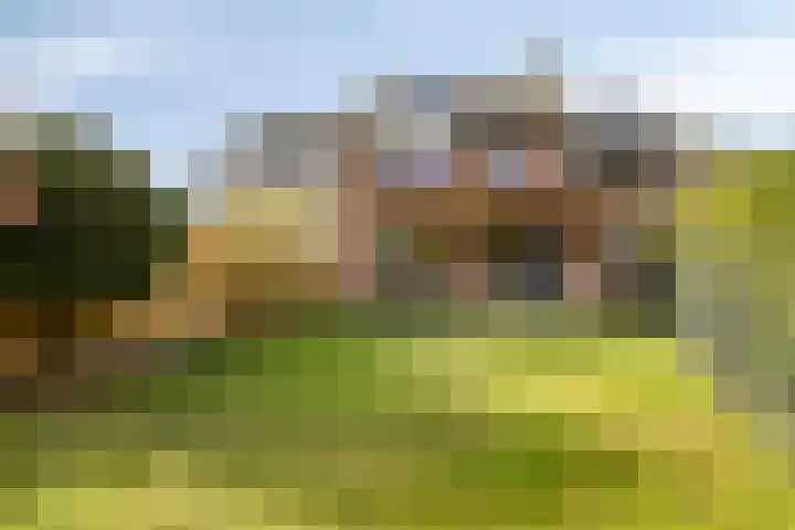 Zavelveldweg 10 Heel thumbnail 37
