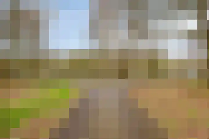Zavelveldweg 10 Heel thumbnail 38