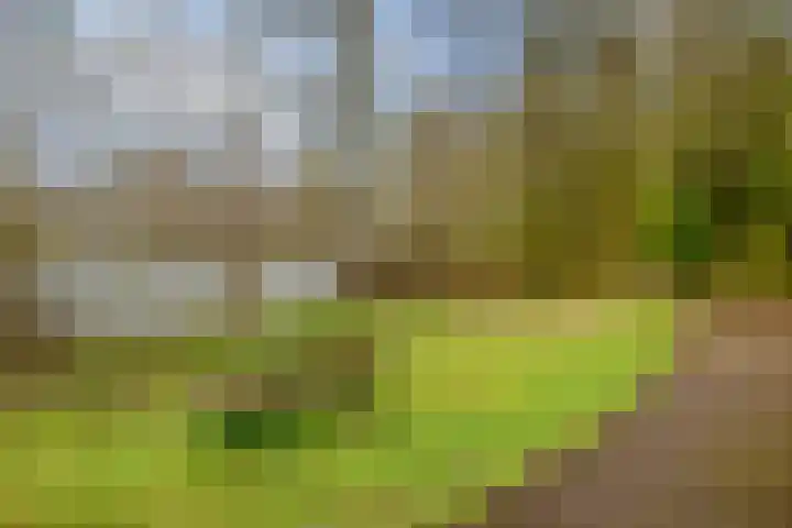 Zavelveldweg 10 Heel thumbnail 39