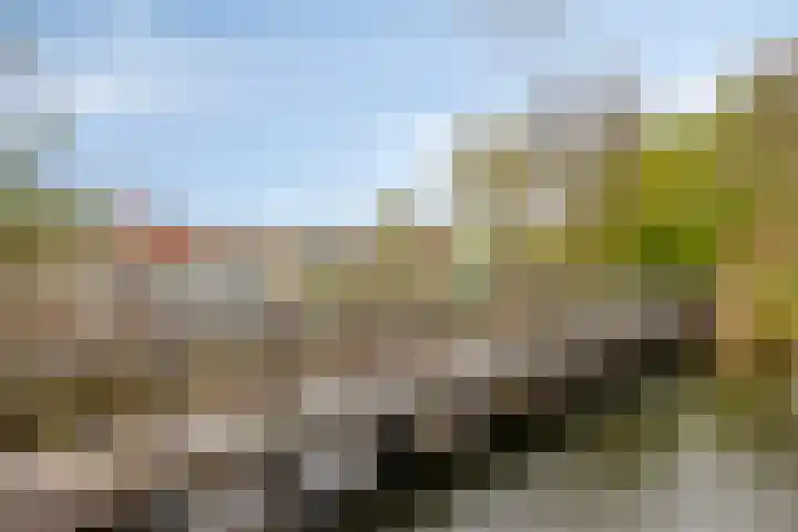 Zavelveldweg 10 Heel thumbnail 40